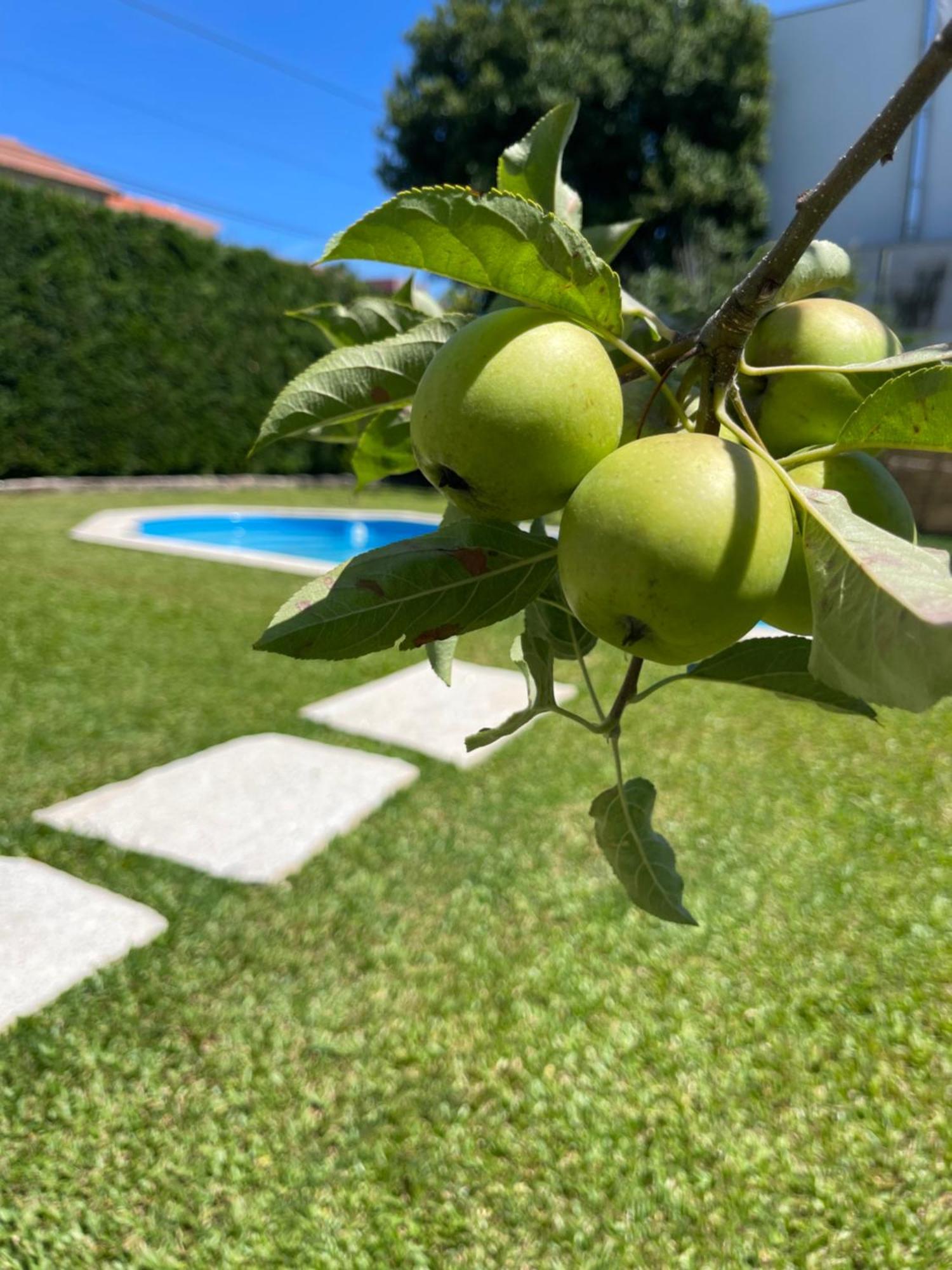 Casa Do Albano Villa Viana do Castelo Ngoại thất bức ảnh