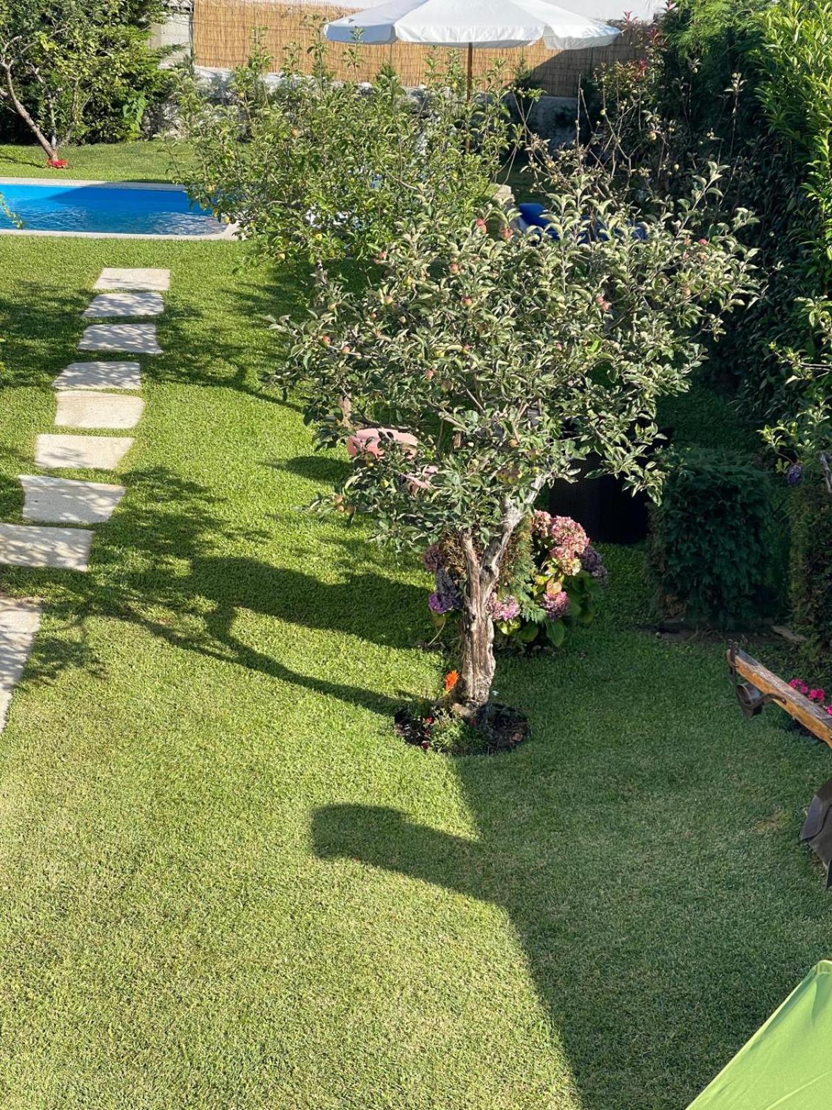 Casa Do Albano Villa Viana do Castelo Ngoại thất bức ảnh